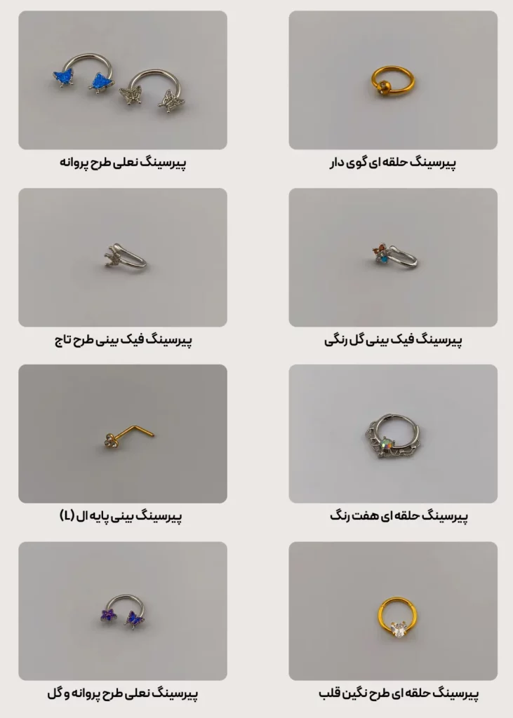 مدل-های-جدید-پیرسینگ-بینی-2025-731x1024.webp (731×1024)