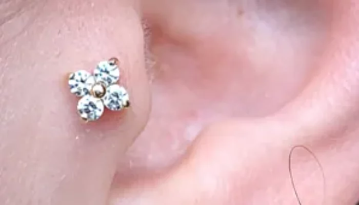tragus ear piercing