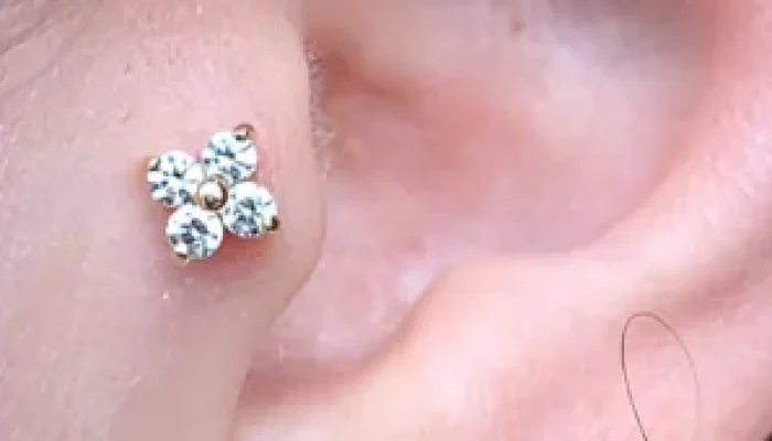 tragus ear piercing